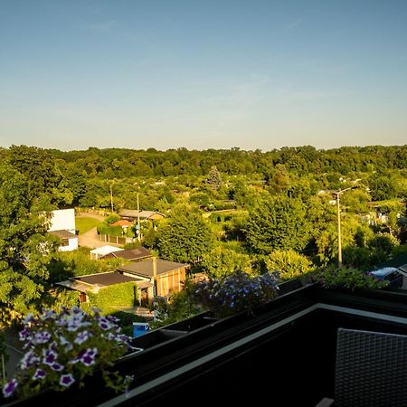 Doppelhaus- Villa Leipzig Schleussig , Moderner Altbau Apartment Dachetage Mit 2 Schlafzimmern Und Separatem Zusatzzimmer , Parkplatz - Balkon - Kamin - Eicheparkett - Arbeitsplatz Екстериор снимка